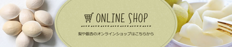 ONLINE SHOP